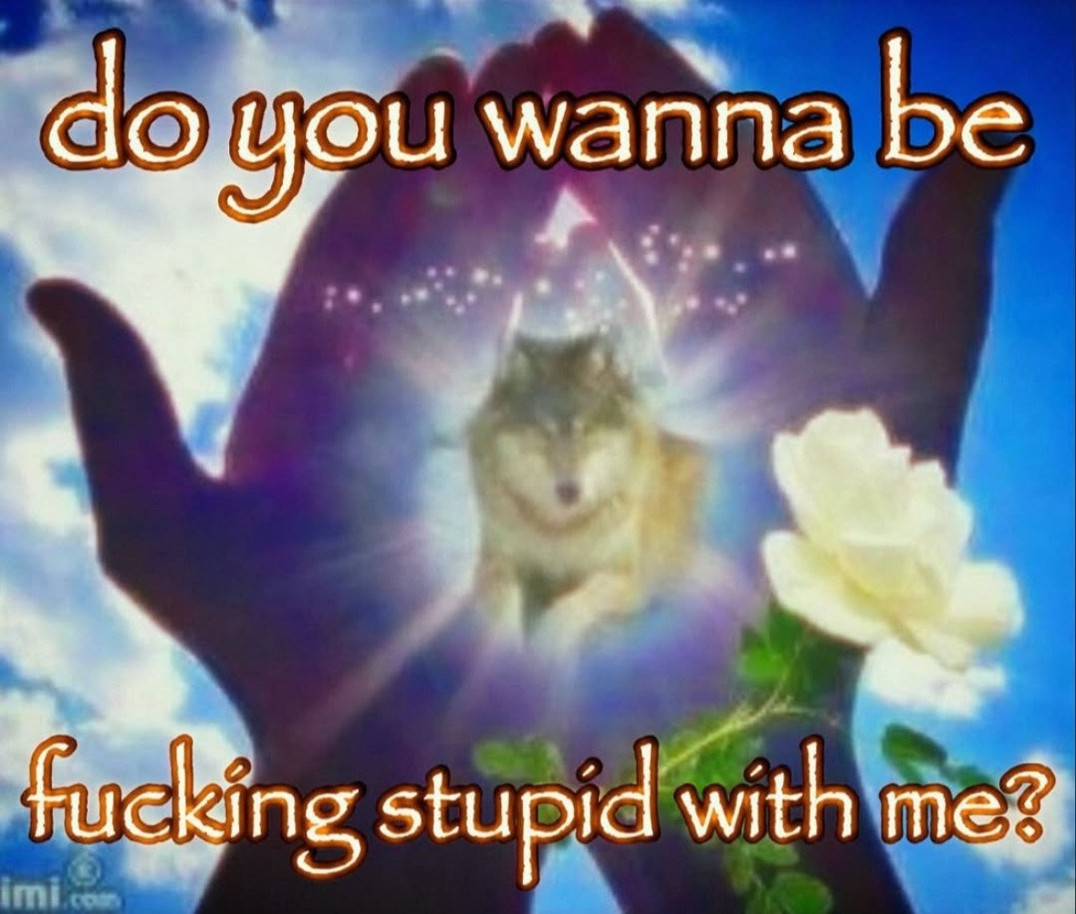 do you wanna be fucking stupid with me?